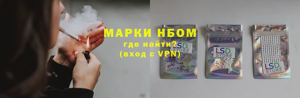 хмурый Богородицк