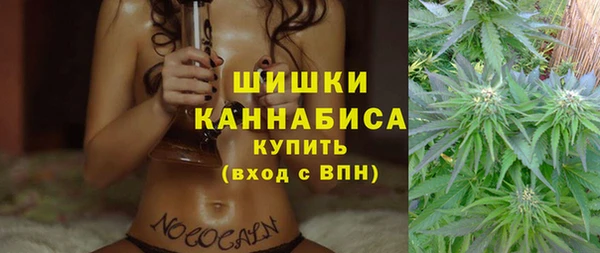 хмурый Богородицк