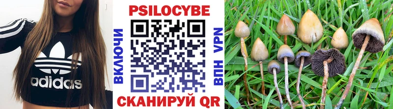 Галлюциногенные грибы прущие грибы  Купить  Кудымкар 